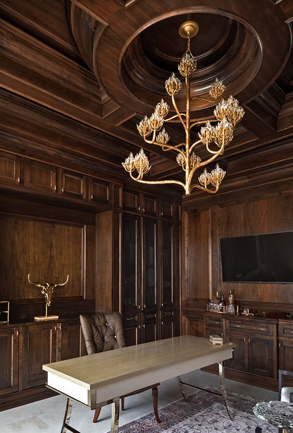 Luxury designer library in dark wood